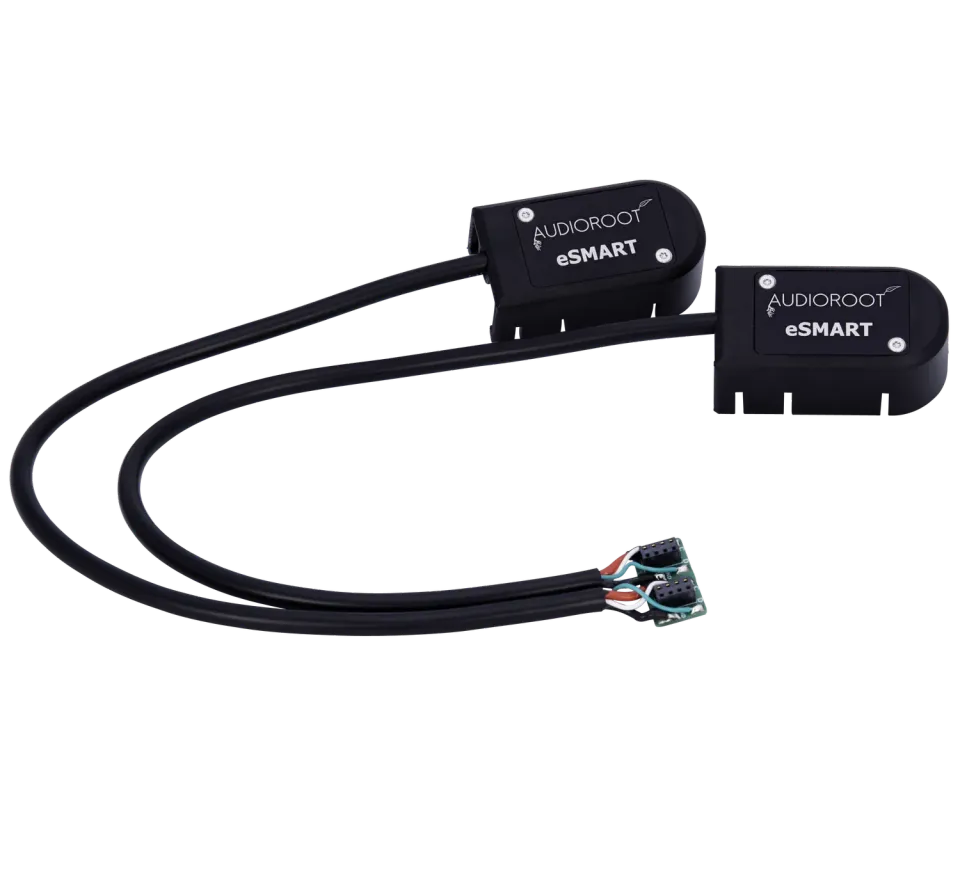 BSRF Audioroot eSMART DUO câble d’entrée TA4M et batterie