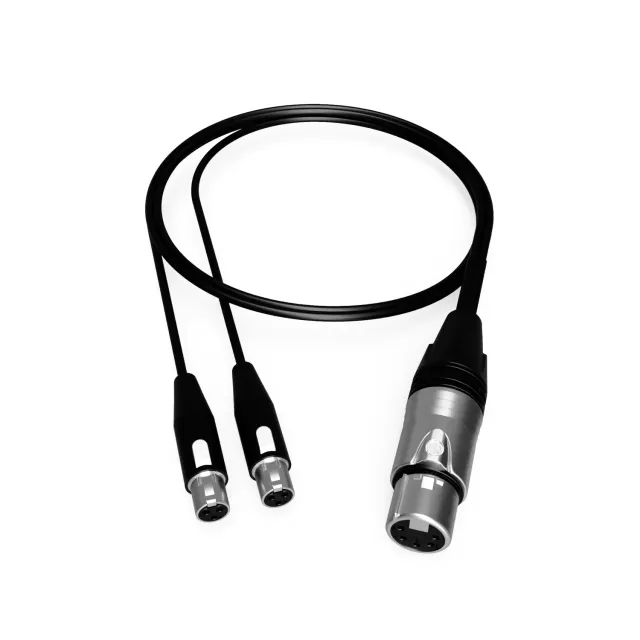 BSRF Audioroot aXLR5F2YT3 câble audio XLR5 vers 2 TA3F 60 cm