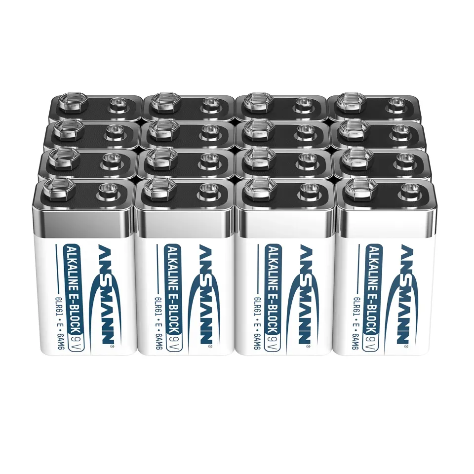 ANSMANN Longlife 6LR61 piles alcalines 9 V lot de 16 longue durée