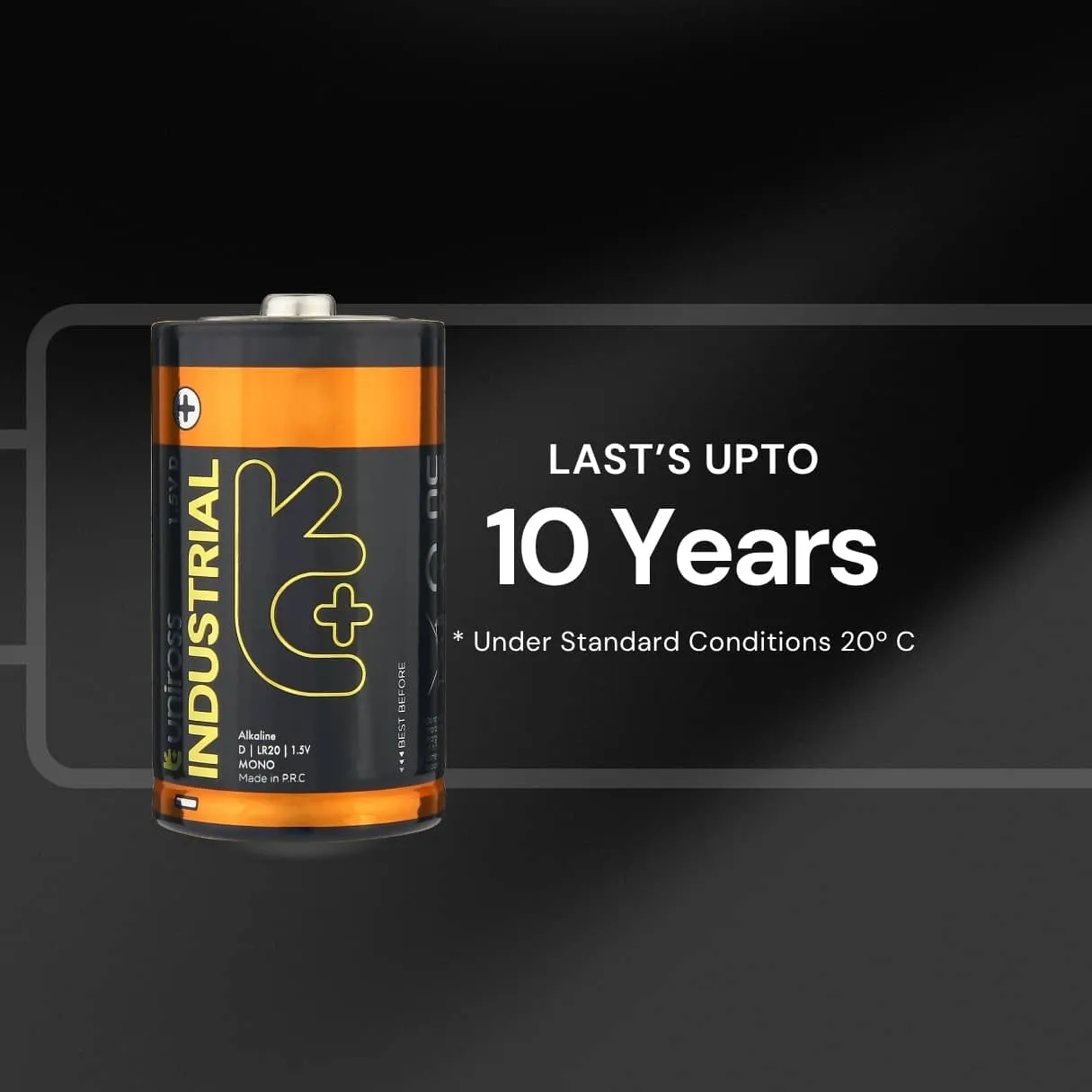 Uniross Industrial Pro Pile Alcaline LR20 D 1,5V pro