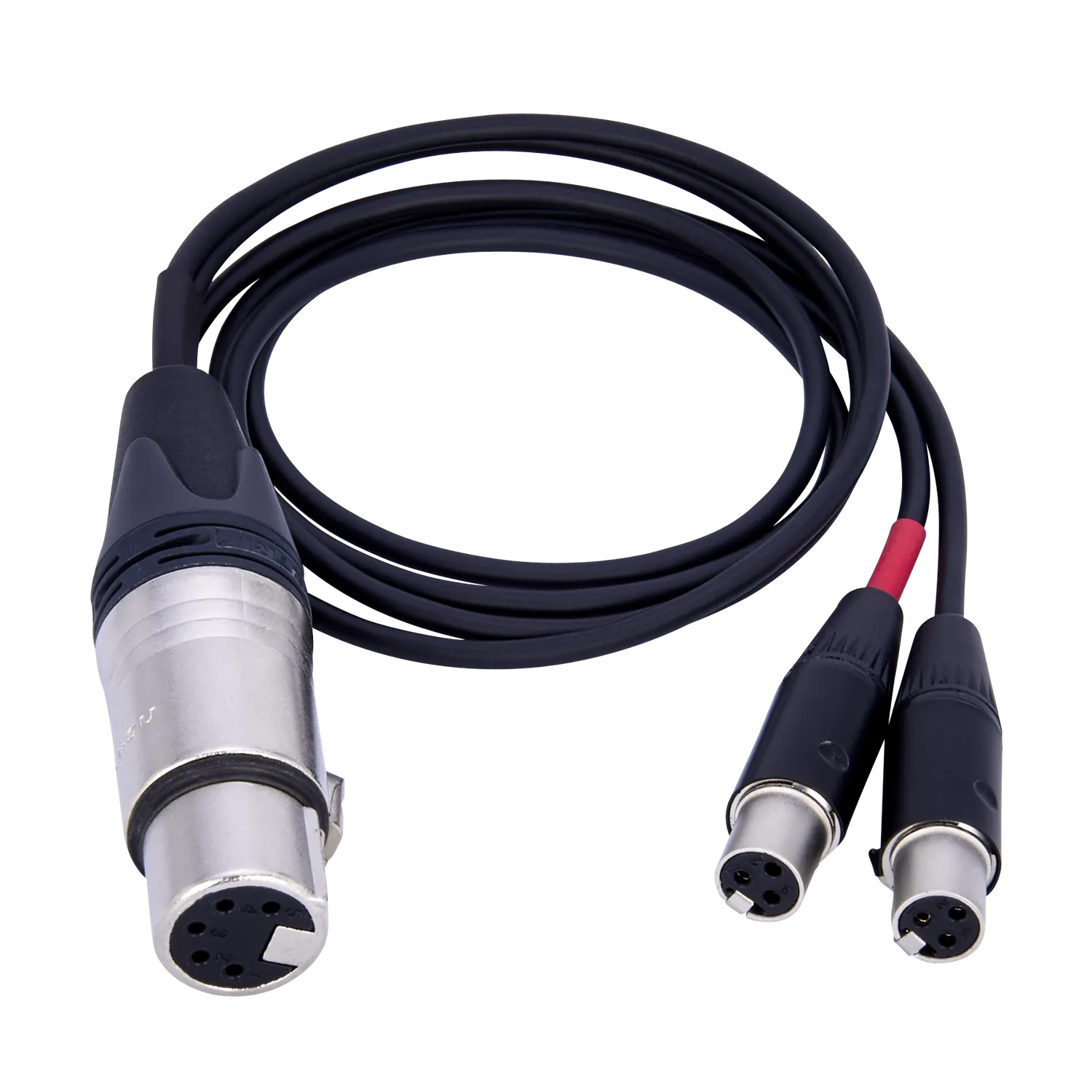BSRF Audioroot aXLR5F2YT3 câble audio XLR5 vers 2 TA3F 60 cm