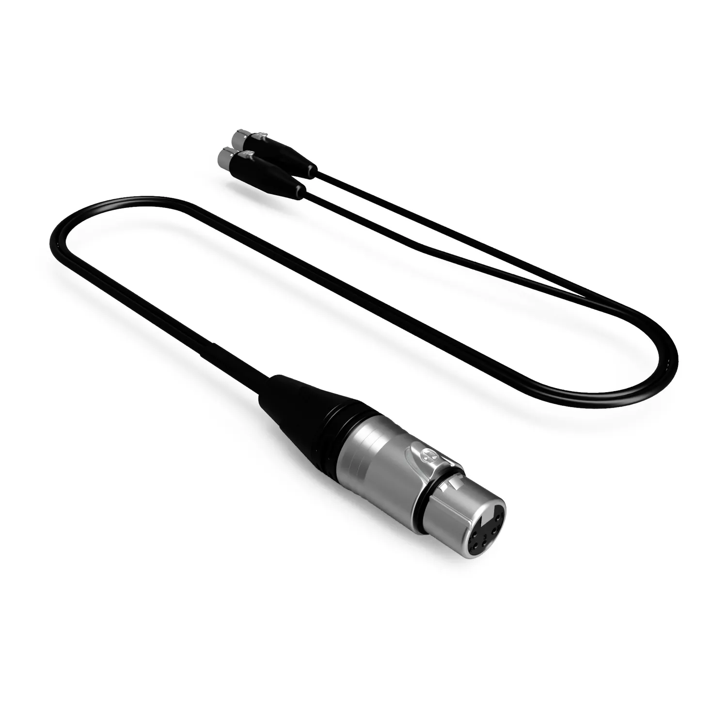 BSRF Audioroot aXLR5F2YT3 câble audio XLR5 vers 2 TA3F 60 cm