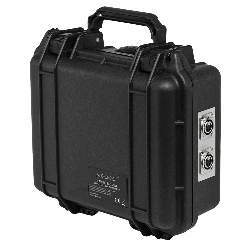 Audioroot eSMART LiFe-256Wh batterie LiFePO4 12,8V 256Wh