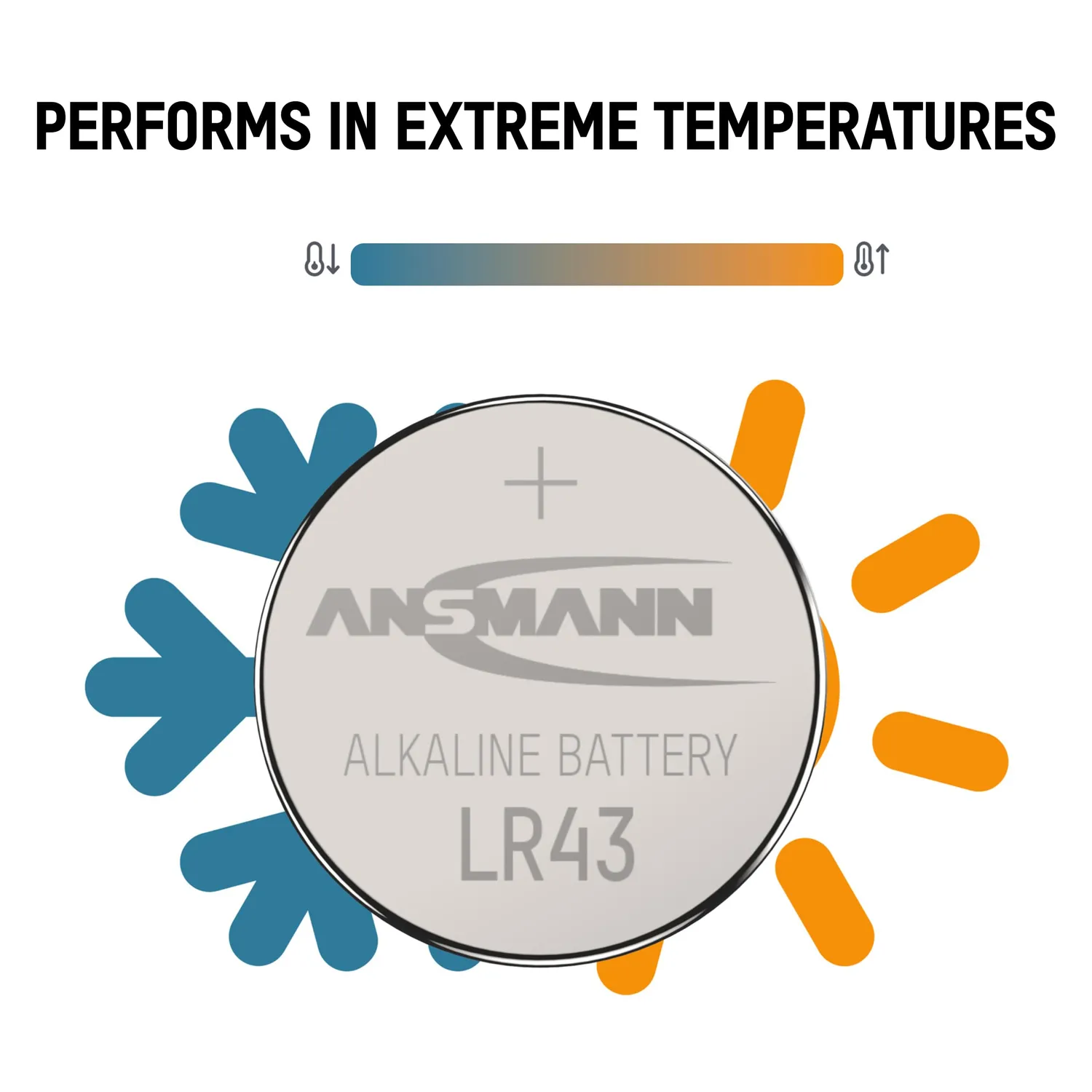 ANSMANN 5015293 LR43 pile bouton alcaline 1,5 V