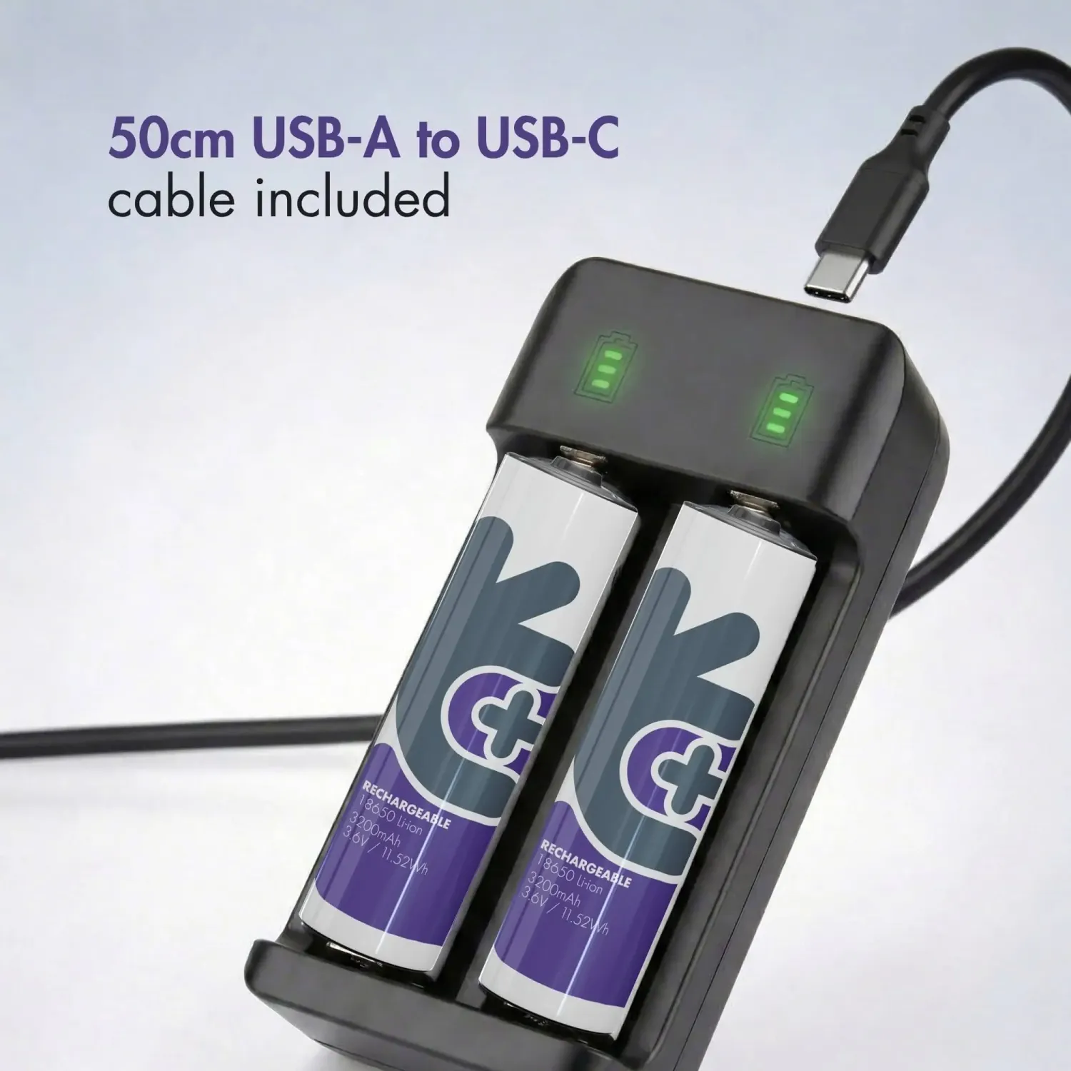 NeO2 Smart USB-C chargeur Li-ion double fente